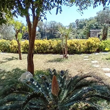 B&B Carpe Diem Domus Isquia Exterior foto